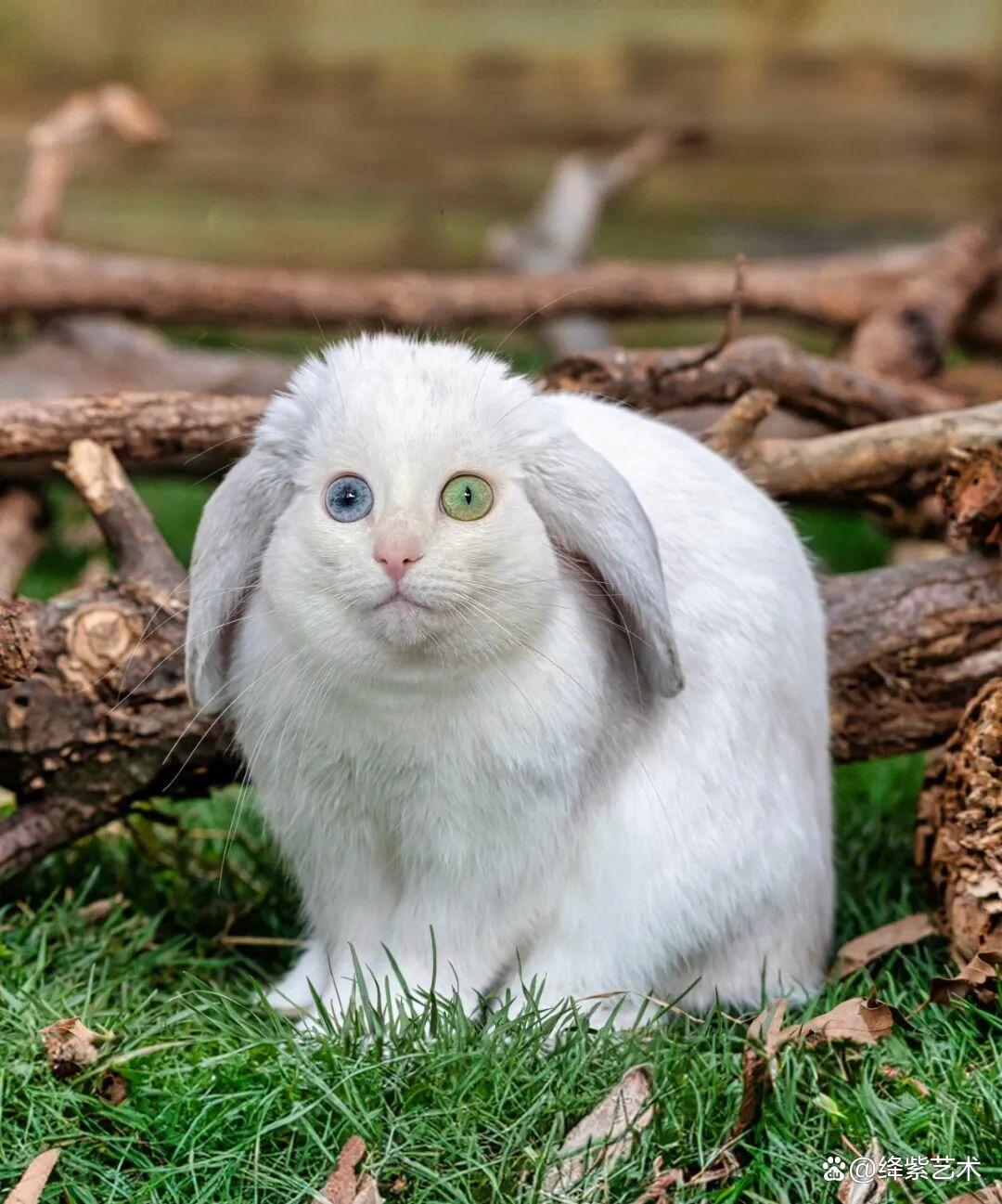 《从零搭建Web服务器：手把手教你成为自己的“云”架构师》